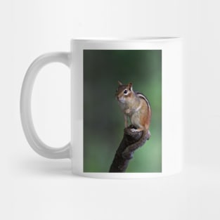 Poser - Chipmunk Mug